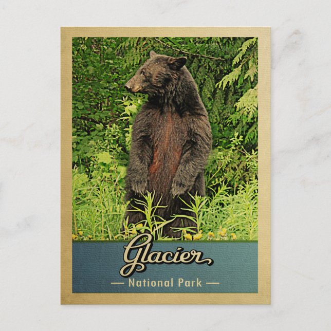 Glacier National Park Bear Vintage Travel Postcard (Front)