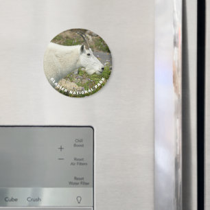 Glacier National Park Mountain Goat Photo Magnet