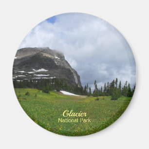 Glacier National Park Mountain Meadow Photo Magnet