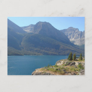 Glacier Park Montana Postcard