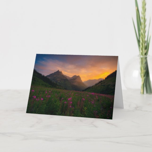 Glacier Wildflowers Card (Front)