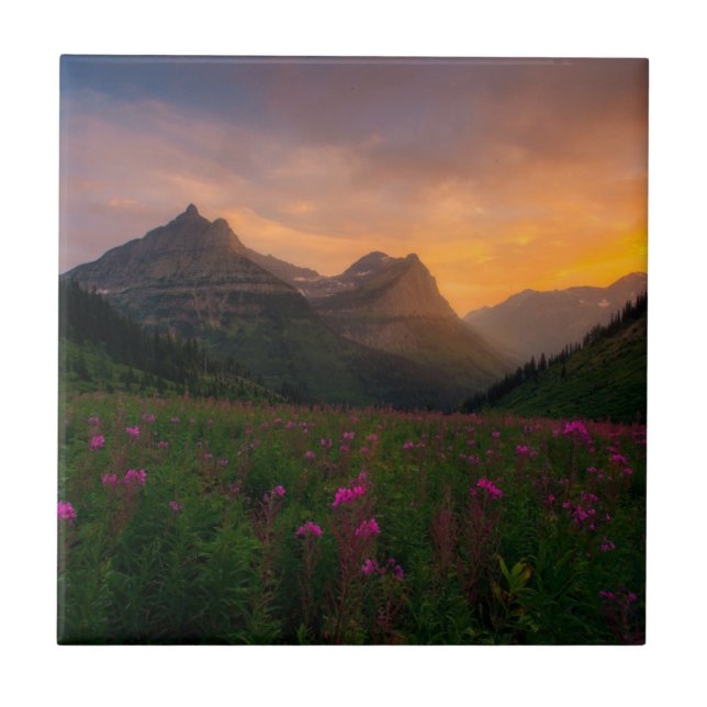 Glacier Wildflowers Ceramic Tile (Front)