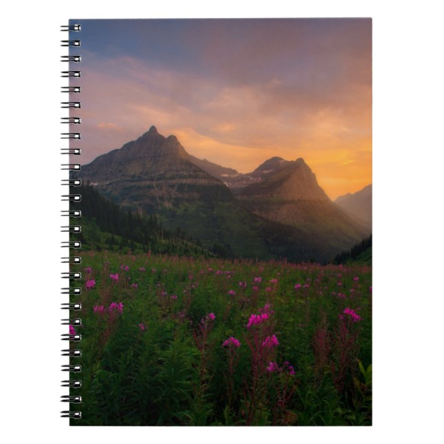 Glacier Wildflowers Notebook (Front)