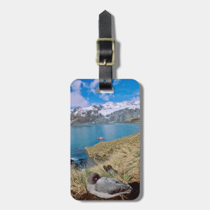 Glaciers and sailing yacht in background luggage tag