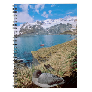 Glaciers and sailing yacht in background notebook