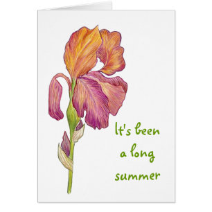 Glad you're back card