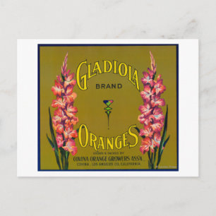 Gladiola Brand Citrus Crate Label Postcard