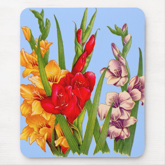 gladiola gladiolus mouse pad (Front)