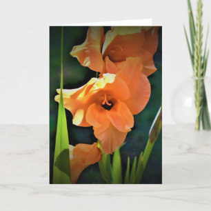 Gladioli, card