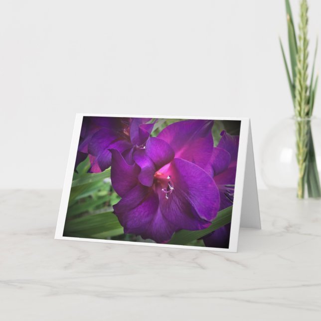 Gladioli, card (Front)
