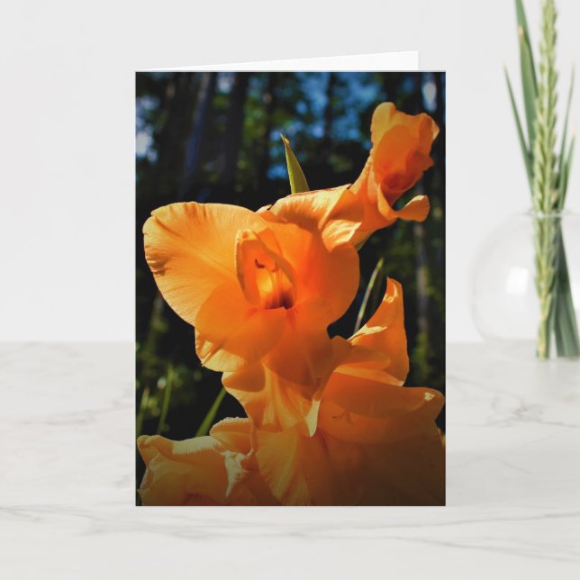 Gladioli, card (Front)