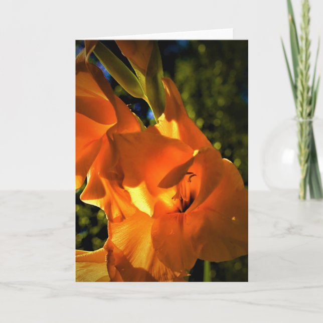 Gladioli, card (Front)