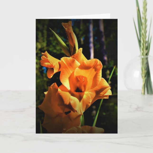 Gladioli, card (Front)