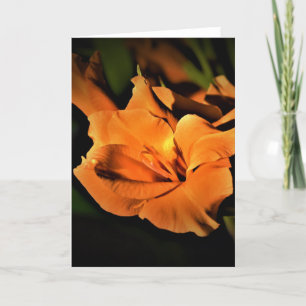 Gladioli, card