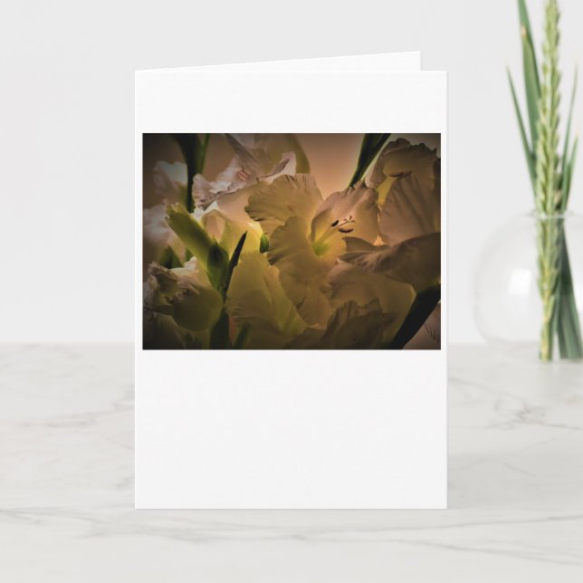 Gladioli, card (Front)