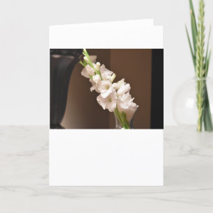 Gladioli, card