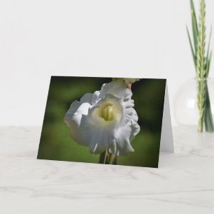 Gladioli, card