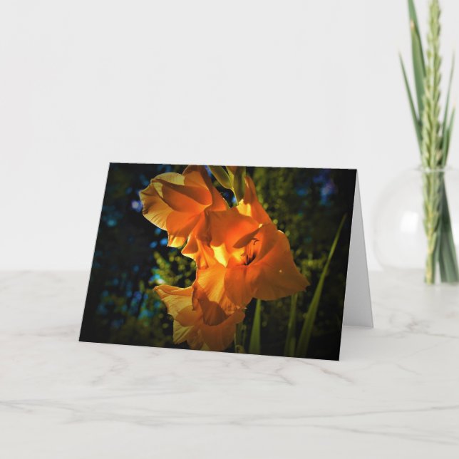 Gladioli, card (Front)