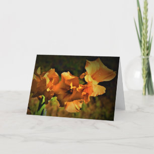 Gladioli, card