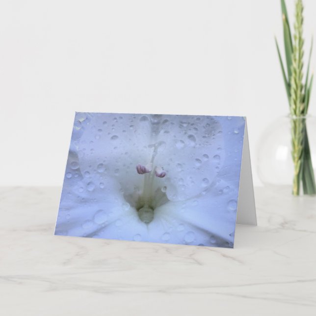 Gladioli, card (Front)