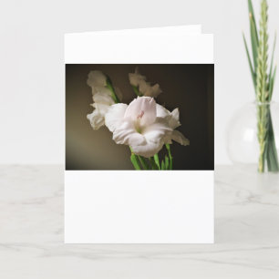 Gladioli, card