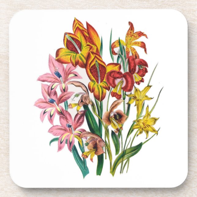 Gladioli Coaster (Front)