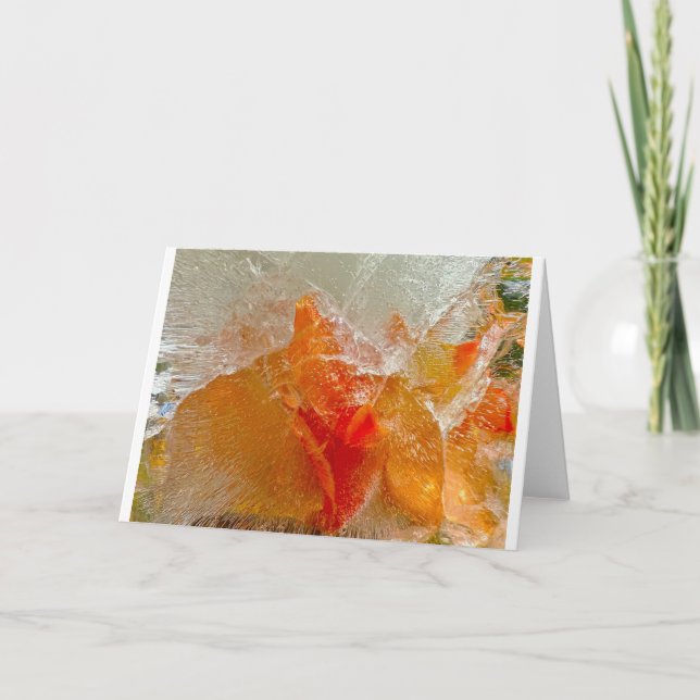 Gladioli in Ice, Card (Front)