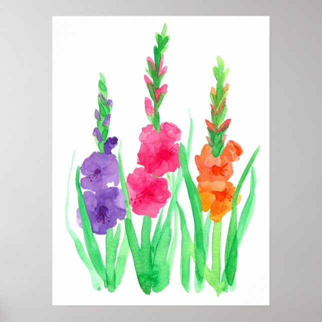 Gladiolus Flowers Purple Pink Orange Watercolor Poster (Front)
