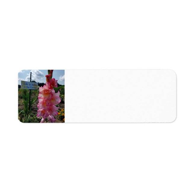 Gladiolus Garden Return Address Label (Front)