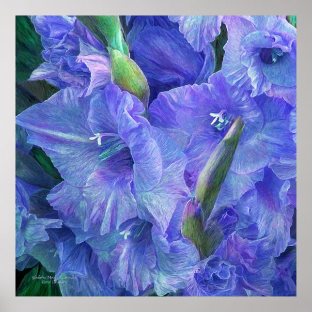 Gladiolus Moods - Lavender Art Poster/Print Poster (Front)