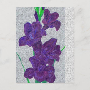 gladiolus postcard