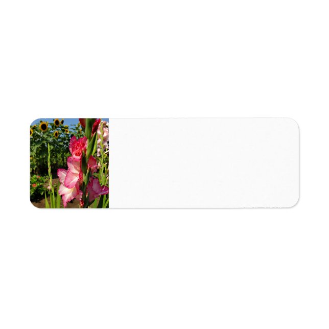 Gladiolus  return address label (Front)