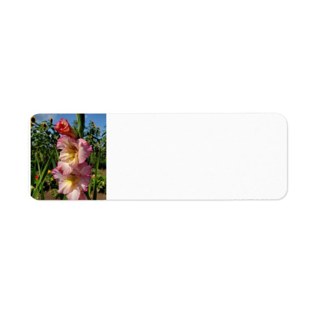 Gladiolus Return Address Label (Front)