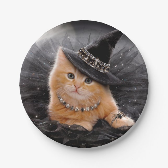 Glamorous Witch Kitten Paper Plate (Front)
