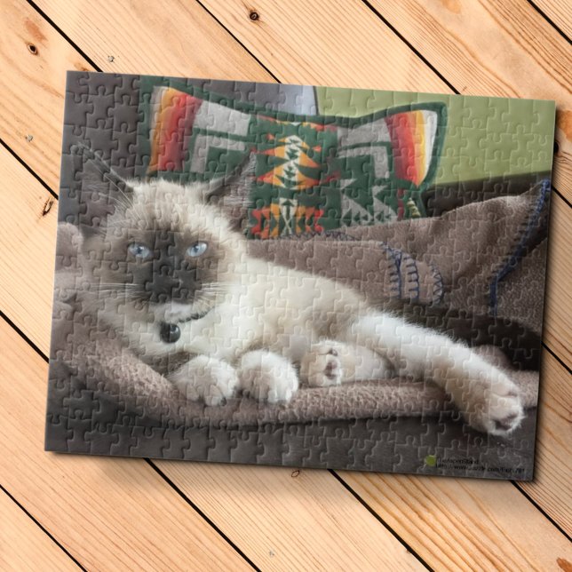 Glamour Blue Eyed Siamese Kitten Photograph Jigsaw Puzzle (Creator Uploaded)