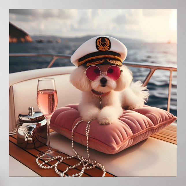 Glamour fashion luxury lifestyle photo poster (Front)