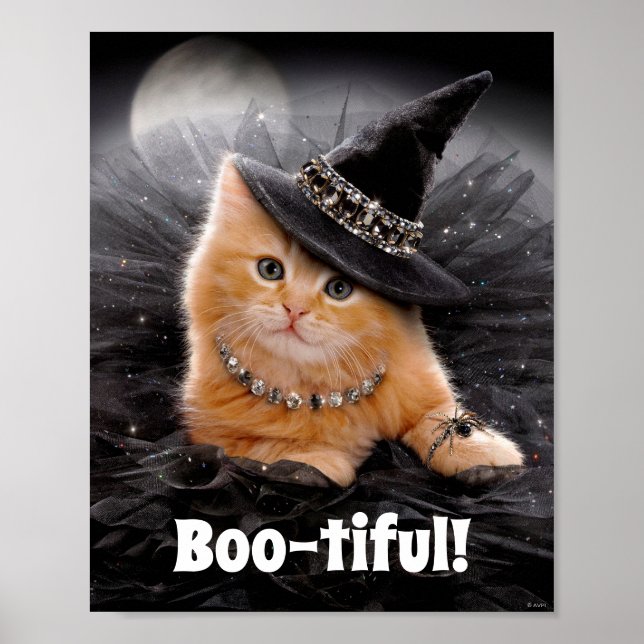 Glamourous Witch Kitten Poster (Front)