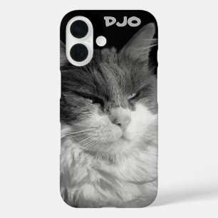 Glare of the Bat Cat iPhone 16 Case