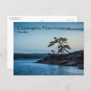 Glaskogen Sweden Postcard