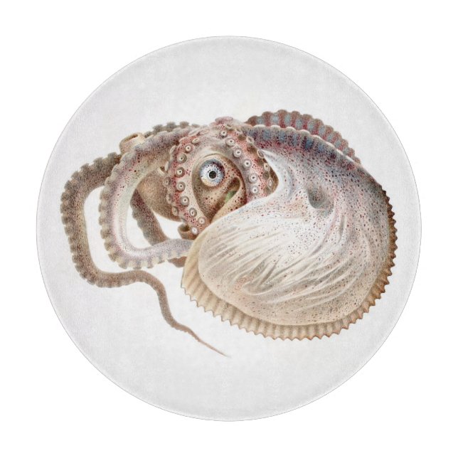 GLASS CHOPPING BOARD : OCTOPUS ILLUSTRATION (Front)