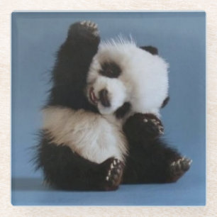 Glass Coaster/Baby Panda Bear Coaster