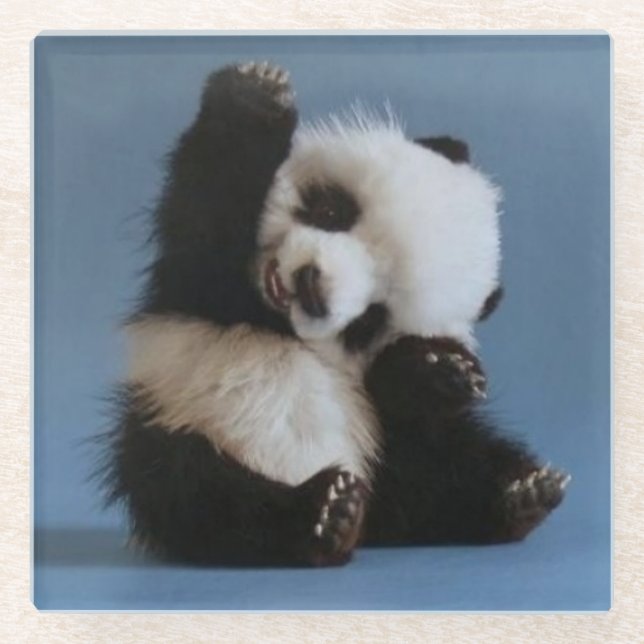 Glass Coaster/Baby Panda Bear Coaster (Front)