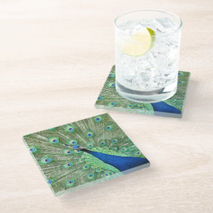Glass Coaster - Peacock