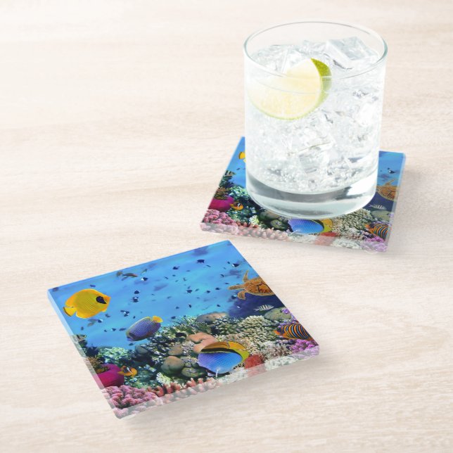 Glass Coaster-Sea Life Glass Coaster (Angled)