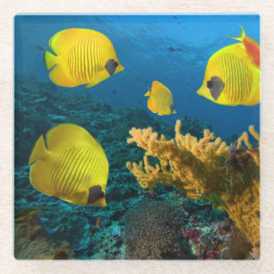 Glass Coaster-Tropical Fish Coaster
