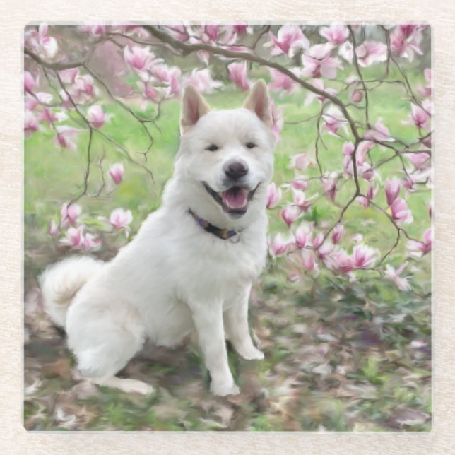 Glass Coaster White Akita (Front)