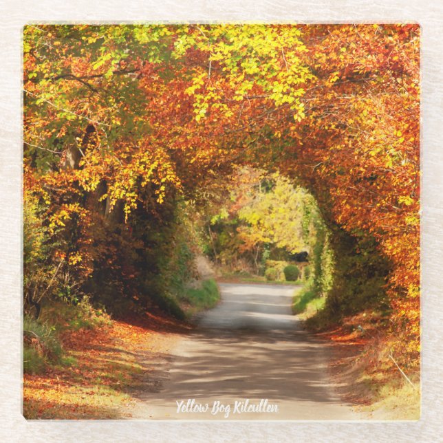 Glass Coaster Yellow Bog Kilcullen (Front)