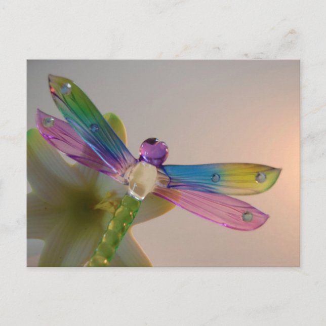 Glass Dragonfly Postcard (Front)