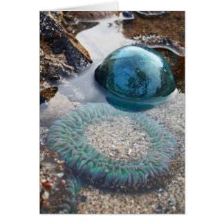 Glass float and anemone