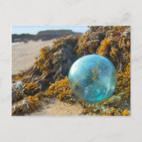 Glass Float on Kelp
